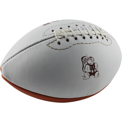 Rugbybälle, American Footballs bedrucken lassen